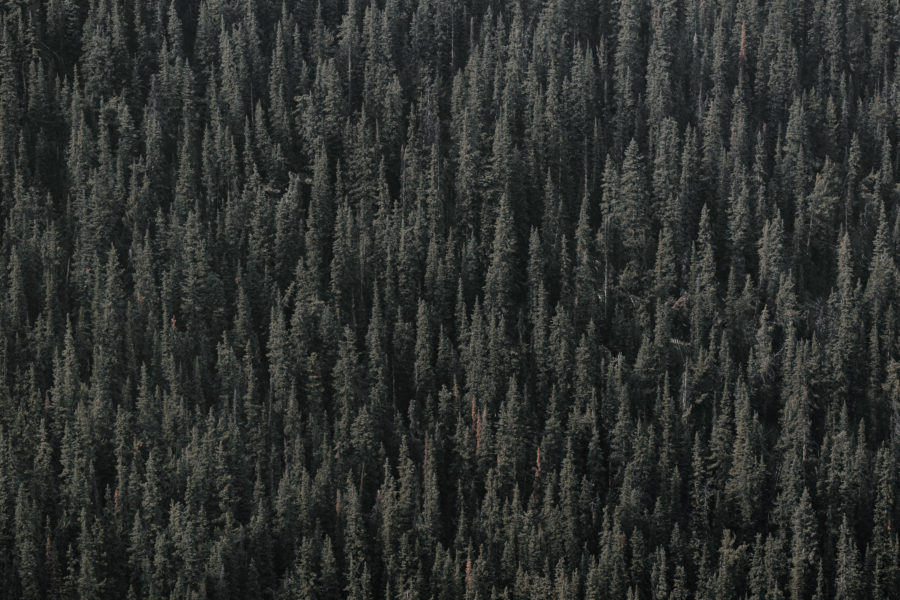 Event Cornerstone Bible Church